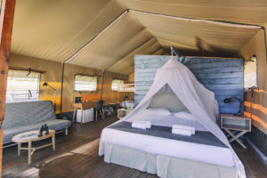 XL luxury safari tent interior photo